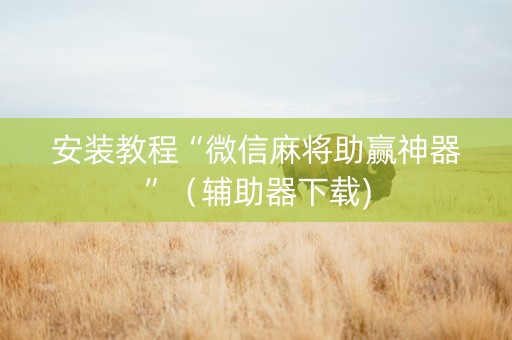 安装教程“微信麻将助赢神器”（辅助器下载)