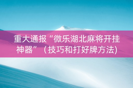 重大通报“微乐湖北麻将开挂神器”（技巧和打好牌方法)