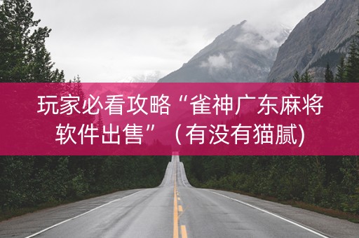 玩家必看攻略“雀神广东麻将软件出售”（有没有猫腻)
