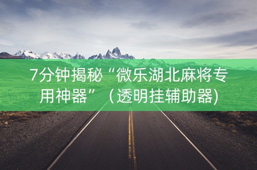 7分钟揭秘“微乐湖北麻将专用神器”（透明挂辅助器)