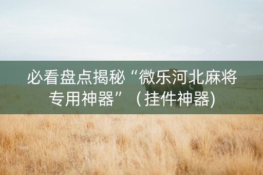 必看盘点揭秘“微乐河北麻将专用神器”（挂件神器)