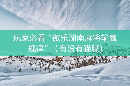 玩家必看“微乐湖南麻将输赢规律”（有没有猫腻)