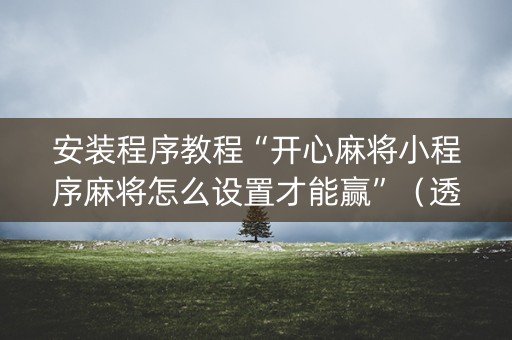 安装程序教程“开心麻将小程序麻将怎么设置才能赢”（透明挂辅助器)
