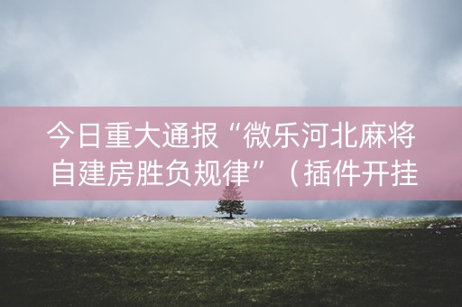 今日重大通报“微乐河北麻将自建房胜负规律”（插件开挂免费AI)