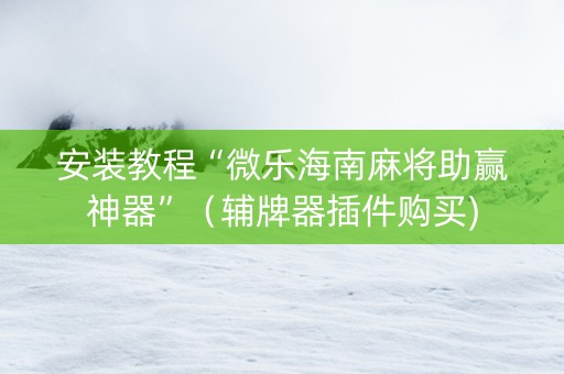 安装教程“微乐海南麻将助赢神器”（辅牌器插件购买)