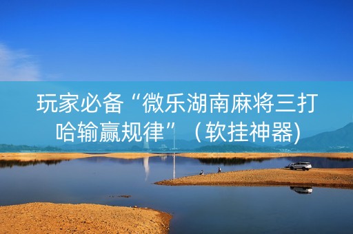 玩家必备“微乐湖南麻将三打哈输赢规律”（软挂神器)