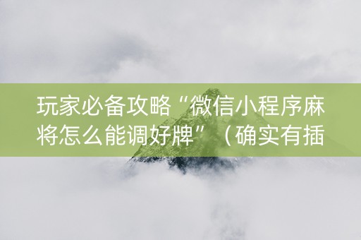 玩家必备攻略“微信小程序麻将怎么能调好牌”（确实有插件吗)