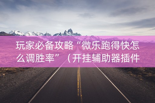玩家必备攻略“微乐跑得快怎么调胜率”（开挂辅助器插件)