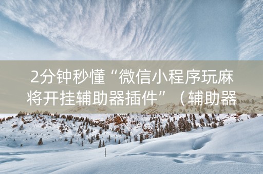2分钟秒懂“微信小程序玩麻将开挂辅助器插件”（辅助器下载)