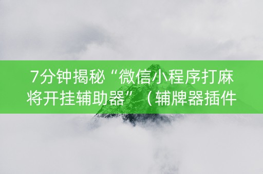 7分钟揭秘“微信小程序打麻将开挂辅助器”（辅牌器插件购买)