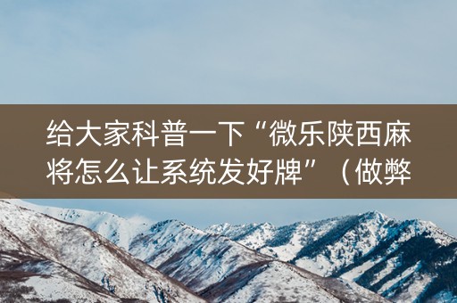 给大家科普一下“微乐陕西麻将怎么让系统发好牌”（做弊器软件下载)