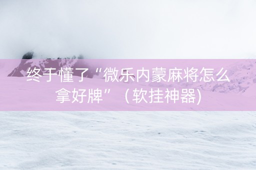 终于懂了“微乐内蒙麻将怎么拿好牌”（软挂神器)