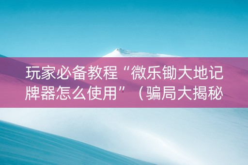 玩家必备教程“微乐锄大地记牌器怎么使用”（骗局大揭秘)