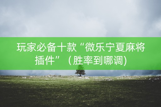 玩家必备十款“微乐宁夏麻将插件”（胜率到哪调)