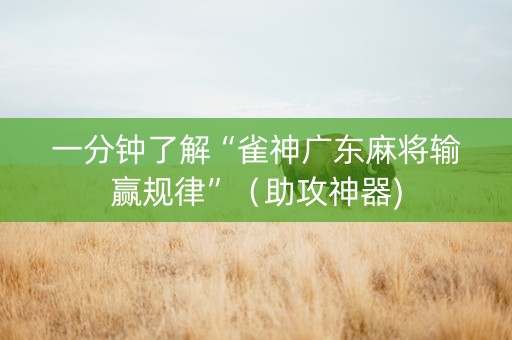 一分钟了解“雀神广东麻将输赢规律”（助攻神器)