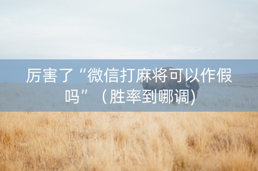 厉害了“微信打麻将可以作假吗”（胜率到哪调)