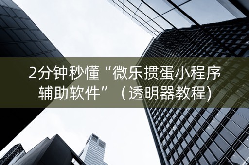 2分钟秒懂“微乐掼蛋小程序辅助软件”（透明器教程)