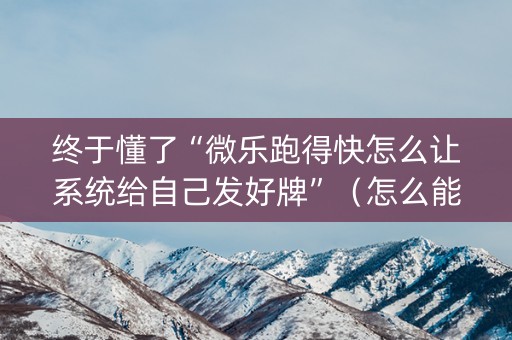 终于懂了“微乐跑得快怎么让系统给自己发好牌”（怎么能让牌好一点)