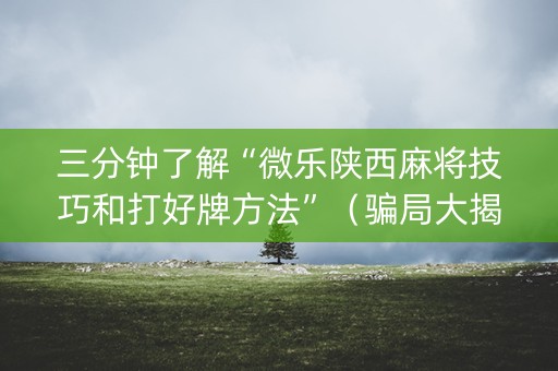 三分钟了解“微乐陕西麻将技巧和打好牌方法”（骗局大揭秘)