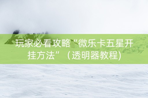 玩家必看攻略“微乐卡五星开挂方法”（透明器教程)