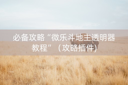必备攻略“微乐斗地主透明器教程”（攻略插件)