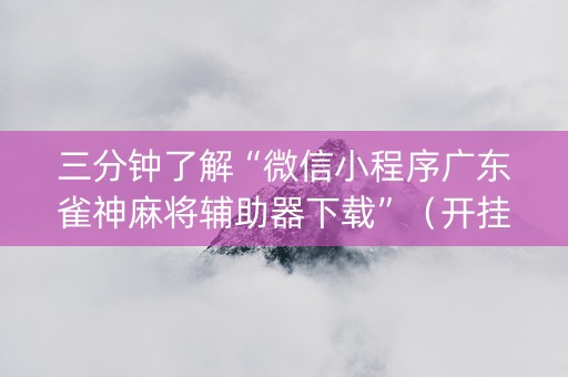 三分钟了解“微信小程序广东雀神麻将辅助器下载”（开挂辅助脚本)
