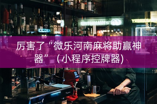 厉害了“微乐河南麻将助赢神器”（小程序控牌器)