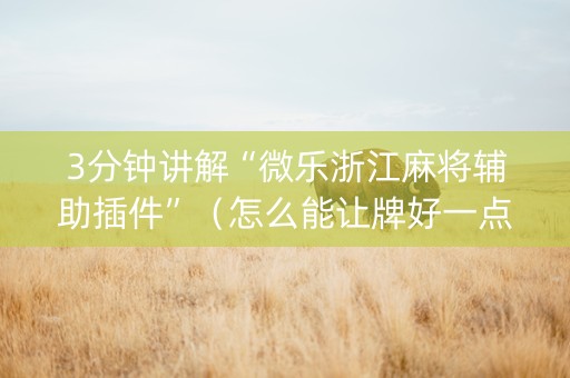 3分钟讲解“微乐浙江麻将辅助插件”（怎么能让牌好一点)