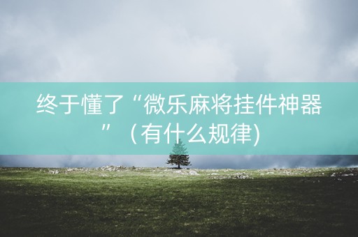 终于懂了“微乐麻将挂件神器”（有什么规律)