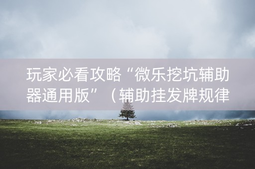 玩家必看攻略“微乐挖坑辅助器通用版”（辅助挂发牌规律)