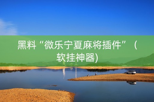 黑料“微乐宁夏麻将插件”（软挂神器)