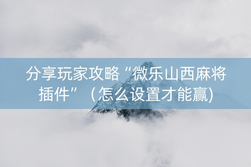 分享玩家攻略“微乐山西麻将插件”（怎么设置才能赢)