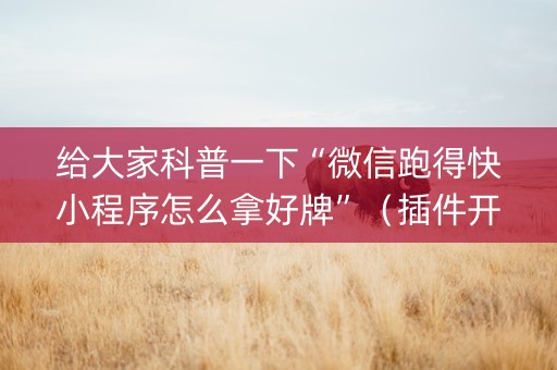 给大家科普一下“微信跑得快小程序怎么拿好牌”（插件开挂免费AI)