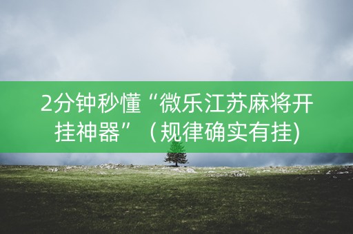 2分钟秒懂“微乐江苏麻将开挂神器”（规律确实有挂)
