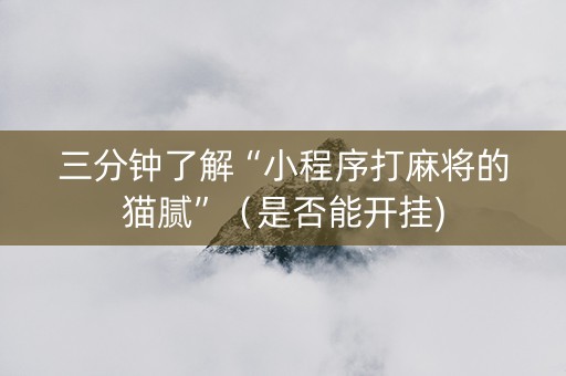 三分钟了解“小程序打麻将的猫腻”（是否能开挂)