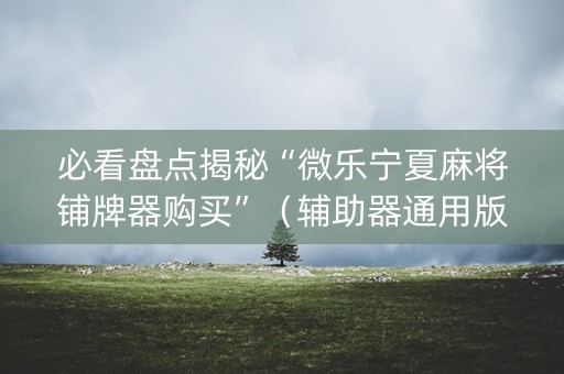 必看盘点揭秘“微乐宁夏麻将铺牌器购买”（辅助器通用版)