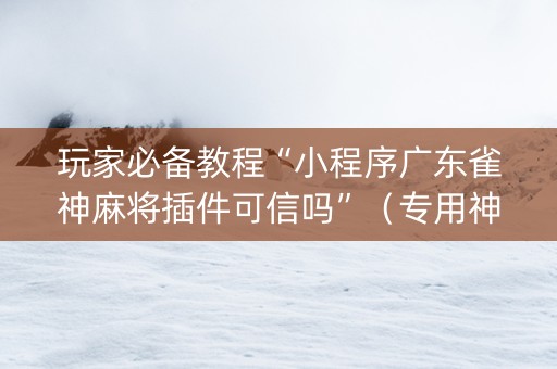 玩家必备教程“小程序广东雀神麻将插件可信吗”（专用神器下载)