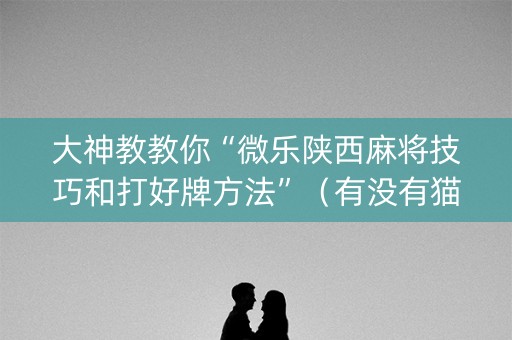 大神教教你“微乐陕西麻将技巧和打好牌方法”（有没有猫腻)