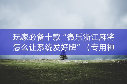 玩家必备十款“微乐浙江麻将怎么让系统发好牌”（专用神器下载)