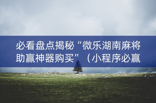 必看盘点揭秘“微乐湖南麻将助赢神器购买”（小程序必赢神器)