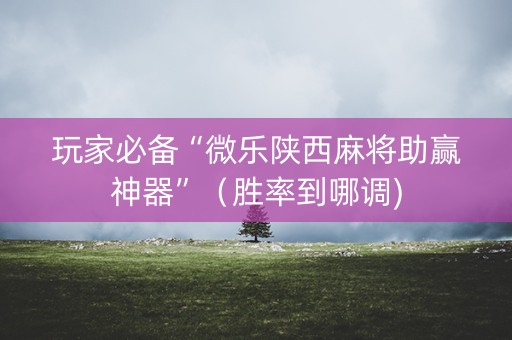 玩家必备“微乐陕西麻将助赢神器”（胜率到哪调)