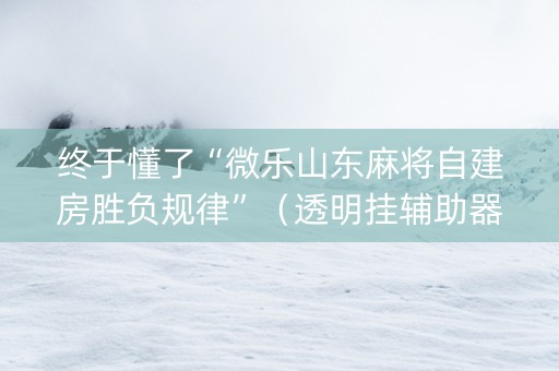 终于懂了“微乐山东麻将自建房胜负规律”（透明挂辅助器)