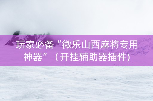 玩家必备“微乐山西麻将专用神器”（开挂辅助器插件)