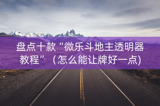 盘点十款“微乐斗地主透明器教程”（怎么能让牌好一点)