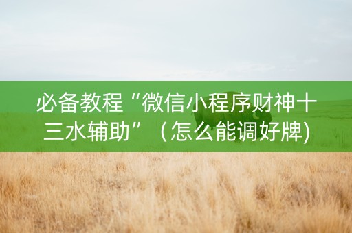 必备教程“微信小程序财神十三水辅助”（怎么能调好牌)