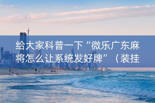 给大家科普一下“微乐广东麻将怎么让系统发好牌”（装挂怎么安装)