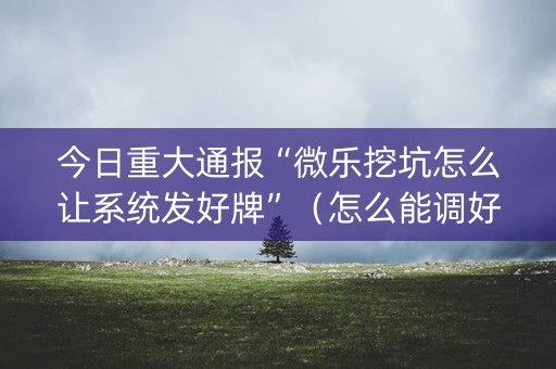 今日重大通报“微乐挖坑怎么让系统发好牌”（怎么能调好牌)