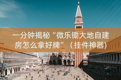 一分钟揭秘“微乐锄大地自建房怎么拿好牌”（挂件神器)