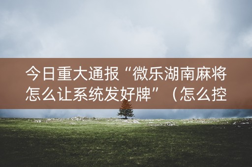 今日重大通报“微乐湖南麻将怎么让系统发好牌”（怎么控制输赢)
