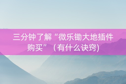 三分钟了解“微乐锄大地插件购买”（有什么诀窍)